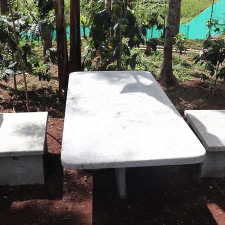 Pine Villa Garden Yercaud Dış mekan fotoğraf